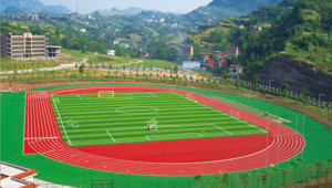 體育場(chǎng)地施工,場(chǎng)館設(shè)施設(shè)計(jì)施工,教學(xué)儀器銷售,環(huán)保工程施工,-江蘇光大體育工程