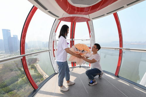 地標(biāo)建設(shè)者打卡 灣區(qū)之光