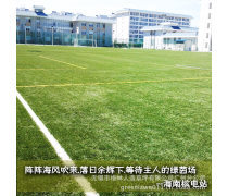 人造草足球場地優(yōu)質商家置頂推薦產品