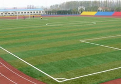 塑膠跑道_塑膠球場_人造草坪_pvc運動