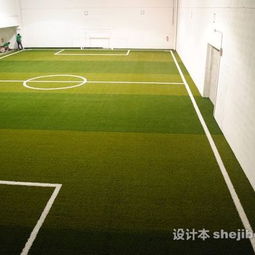 足球場裝修效果圖 設(shè)計(jì)本