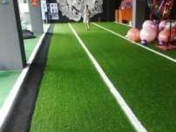 圖 批發(fā)安裝人造草坪學校足球場草坪幼兒園懸浮地板膠跑道 成都鮮花綠植