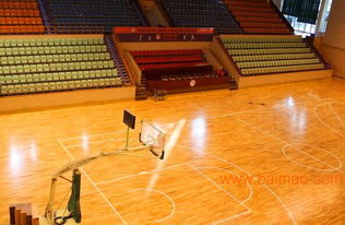 籃球木地板 實(shí)木運(yùn)動(dòng)地板 籃球館木地板生產(chǎn)廠家,籃球木地板 實(shí)木運(yùn)動(dòng)地板 籃球館木地板生產(chǎn)廠家生產(chǎn)廠家,籃球木地板 實(shí)木運(yùn)動(dòng)地板 籃球館木地板生產(chǎn)廠家價(jià)格