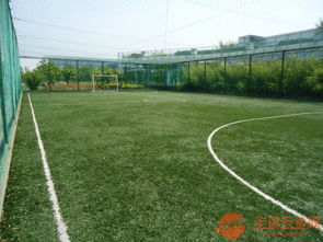 專業(yè)樓頂運動場圍網與體育場地鋪裝解決方案