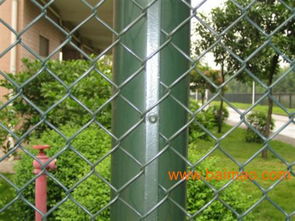 鍍鋅鐵絲網(wǎng)三陽(yáng)絲網(wǎng) 多圖展示、生產(chǎn)廠家與體育場(chǎng)地鋪裝價(jià)格解析