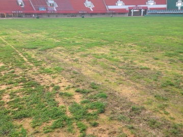 足協(xié)監(jiān)督建業(yè)主場(chǎng)整改，工作組實(shí)地驗(yàn)收體育場(chǎng)地鋪裝成果