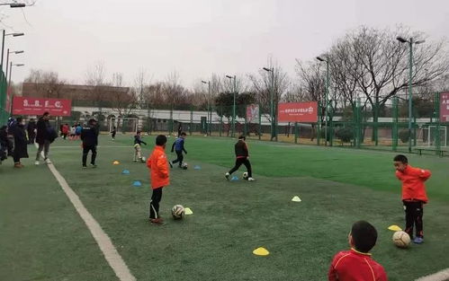 曲江運(yùn)動場地指南 優(yōu)質(zhì)體育場地鋪裝推薦